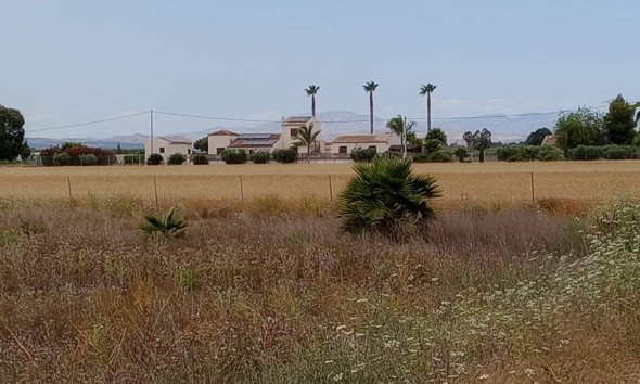 Adosado - Reventa - San Fulgencio - San Fulgencio