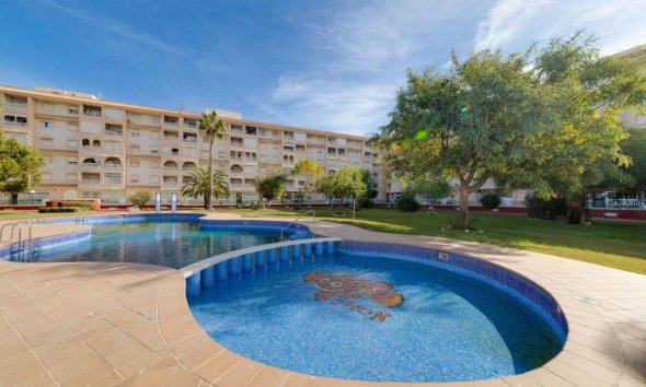 Apartament - Rynek Pierwotny - Torrevieja - Torrevieja