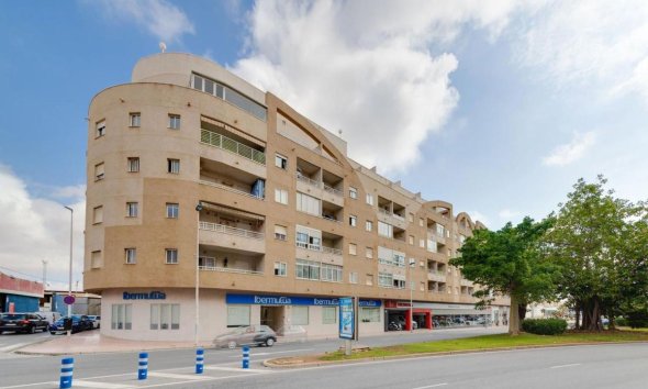 Apartament - Rynek Pierwotny - Torrevieja - Torrevieja