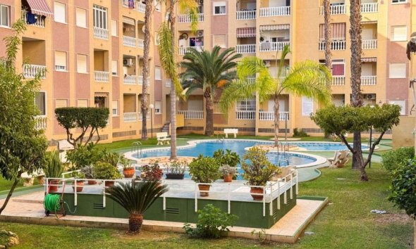 Apartament - Rynek Pierwotny - Torrevieja - Torrevieja