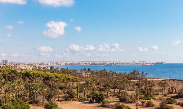 Apartament - Rynek Wtórny - Punta Prima - Punta Prima