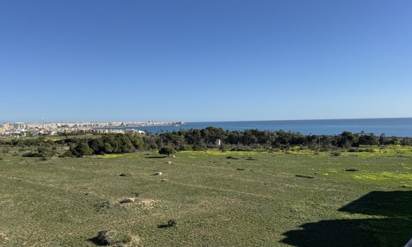 Apartament - Rynek Wtórny - Punta Prima - Punta Prima