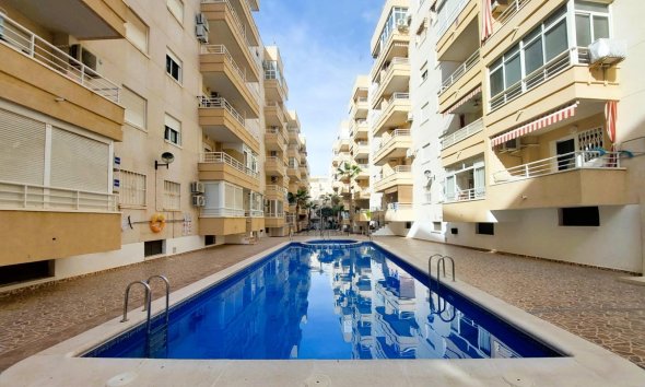 Apartament - Rynek Wtórny - Torrevieja - Centro