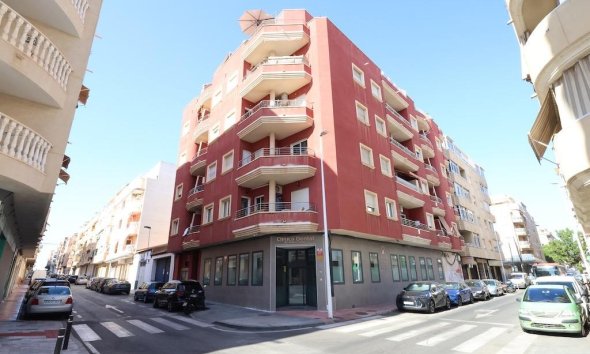 Apartament - Rynek Wtórny - Torrevieja - Centro