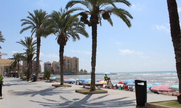 Apartament - Rynek Wtórny - Torrevieja - Playa del Cura