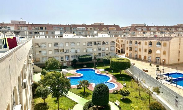 Apartament - Rynek Wtórny - Torrevieja - Torrevieja