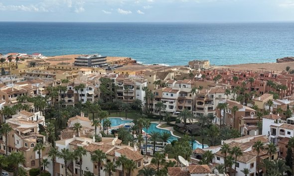 Apartament - Rynek Wtórny - Torrevieja - Torrevieja