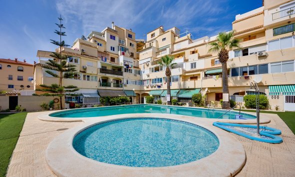 Apartament - Rynek Wtórny - Torrevieja - Torrevieja