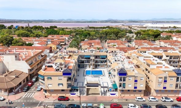 Apartament - Rynek Wtórny - Torrevieja - Torrevieja