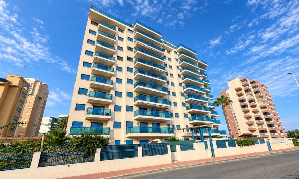 Apartamento / Dúplex - Reventa - Guardamar del Segura - SUP 7