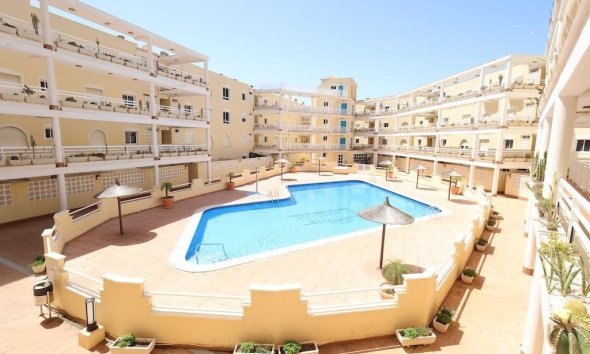 Apartamento - Reventa - Orihuela Costa - Campoamor