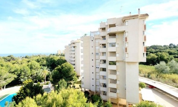 Apartamento - Reventa - Orihuela Costa - Dehesa De Campoamor