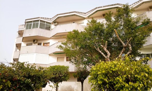 Apartamento - Reventa - Orihuela Costa - La Regia