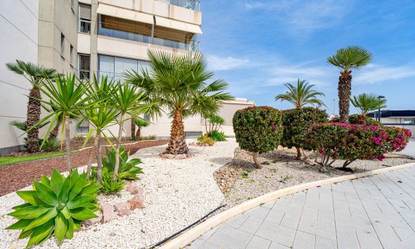 Apartamento - Reventa - Orihuela Costa - Villamartín
