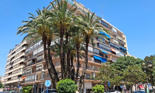 Apartamento - Reventa - Orihuela - Zona Centro