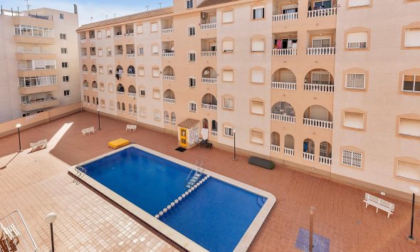 Apartamento - Reventa - Torrevieja - Estacion de autobuses