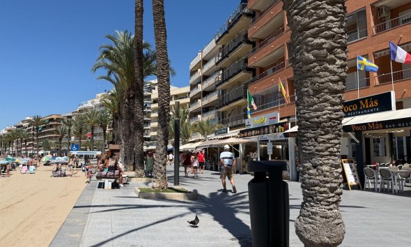 Apartamento - Reventa - Torrevieja - Playa del Cura