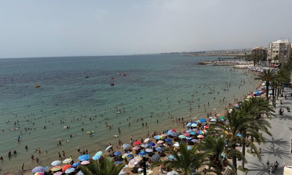 Apartamento - Reventa - Torrevieja - Playa del Cura
