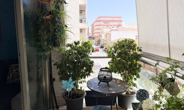 Apartment / Duplex - Resale - Torrevieja - Centro