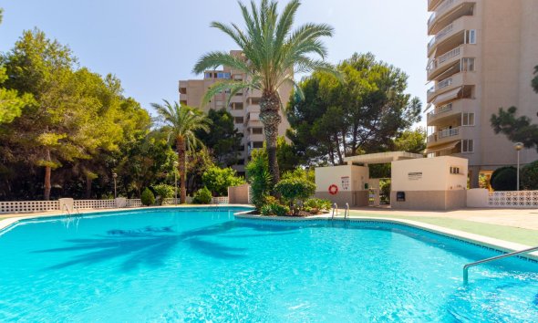 Apartment - Resale - Orihuela Costa - Campoamor