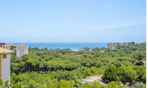 Apartment - Resale - Orihuela Costa - Dehesa De Campoamor