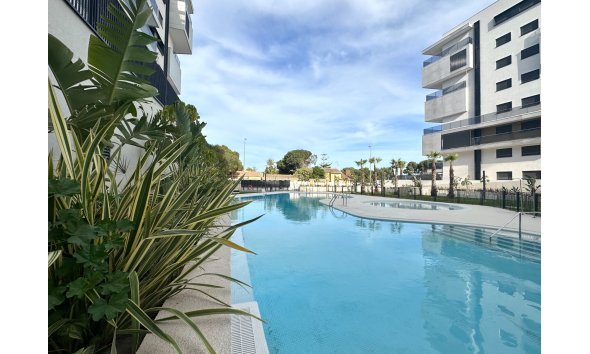 Apartment - Resale - Orihuela Costa - Dehesa de campoamor