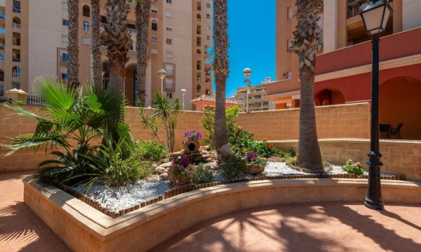 Apartment - Resale - Torrevieja - Playa de los locos
