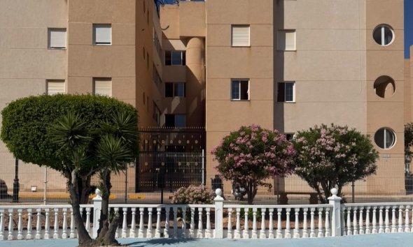 Apartment - Resale - Torrevieja - Torrevieja