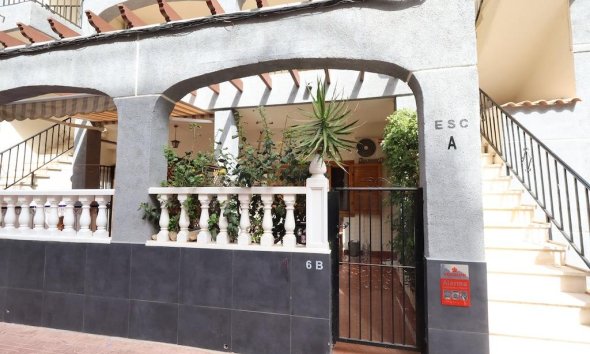 Bungalow / Domek parterowy - Rynek Wtórny - Torrevieja - JM-93966