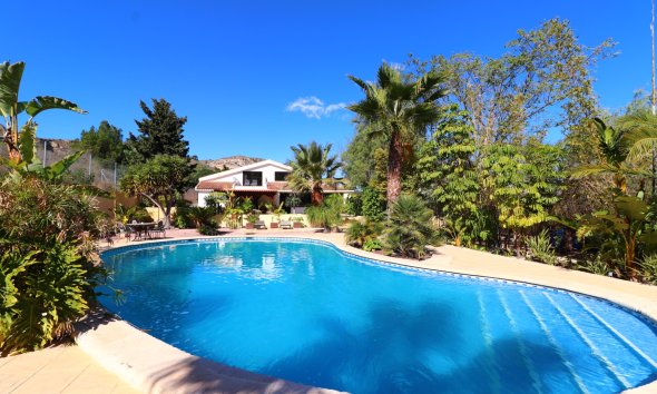 Farm Estate / Country Property - Resale - Aspe - Aspe