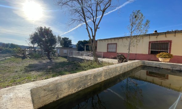 Farm Estate / Country Property - Resale - Aspe - Aspe