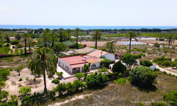 Farm Estate / Country Property - Resale - La Marina - La Marina