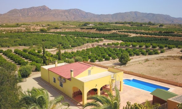 Finca - Reventa - Albatera - Albatera - Country