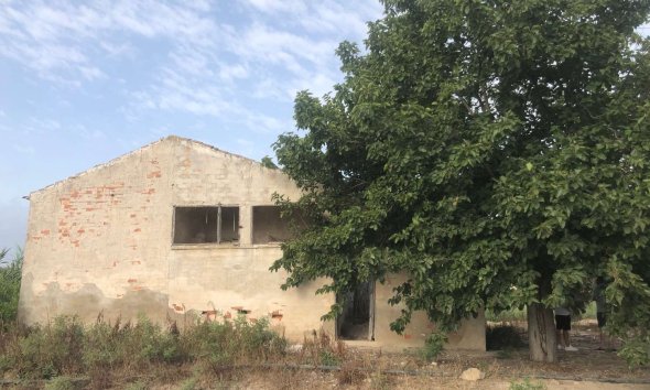 Finca - Reventa - Callosa De Segura - Callosa De Segura