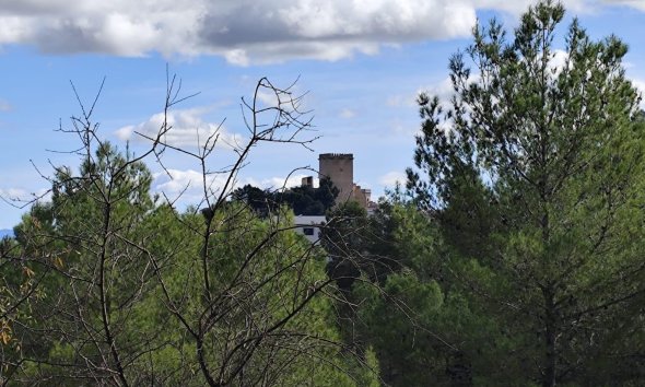 Land - Resale - Moratalla - Moratalla