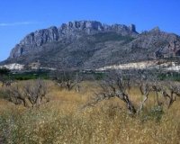 New Build - Apartament / Duplex - Denia - El Vergel