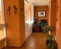 New Build - Apartment - Alicante