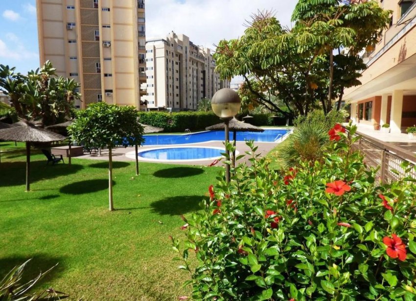 New Build - Apartment - Alicante