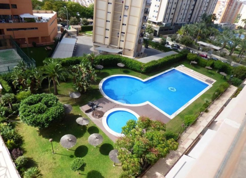New Build - Apartment - Alicante