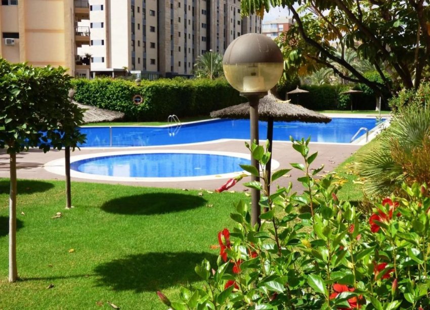 New Build - Apartment - Alicante
