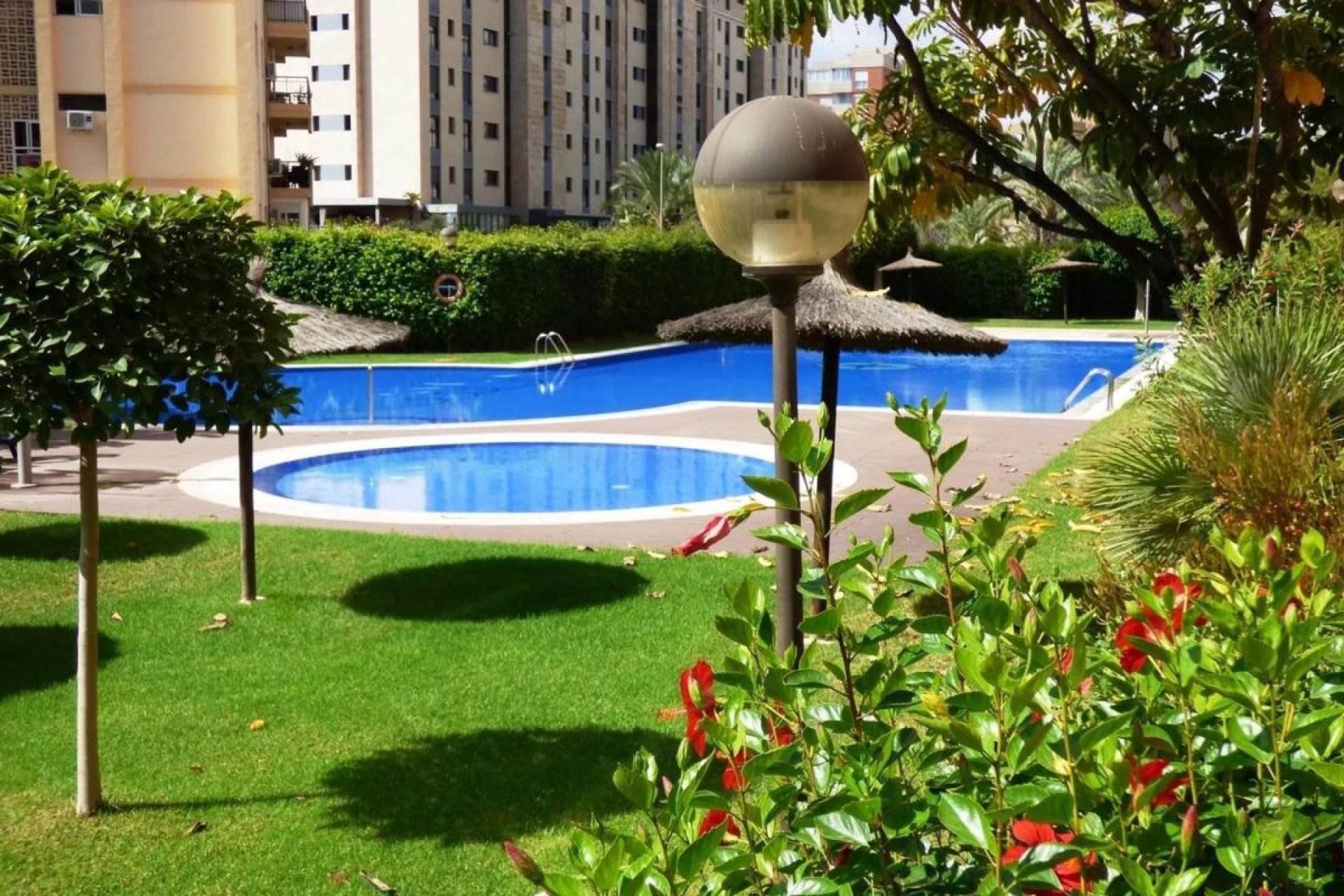 New Build - Apartment - Alicante