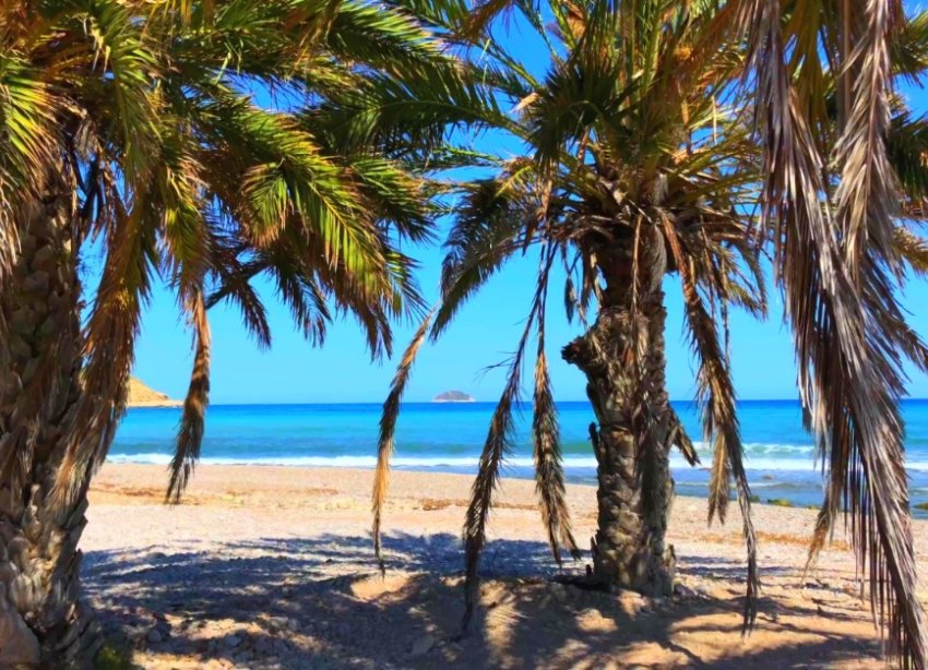 New Build - Apartment - Benidorm - Alicante