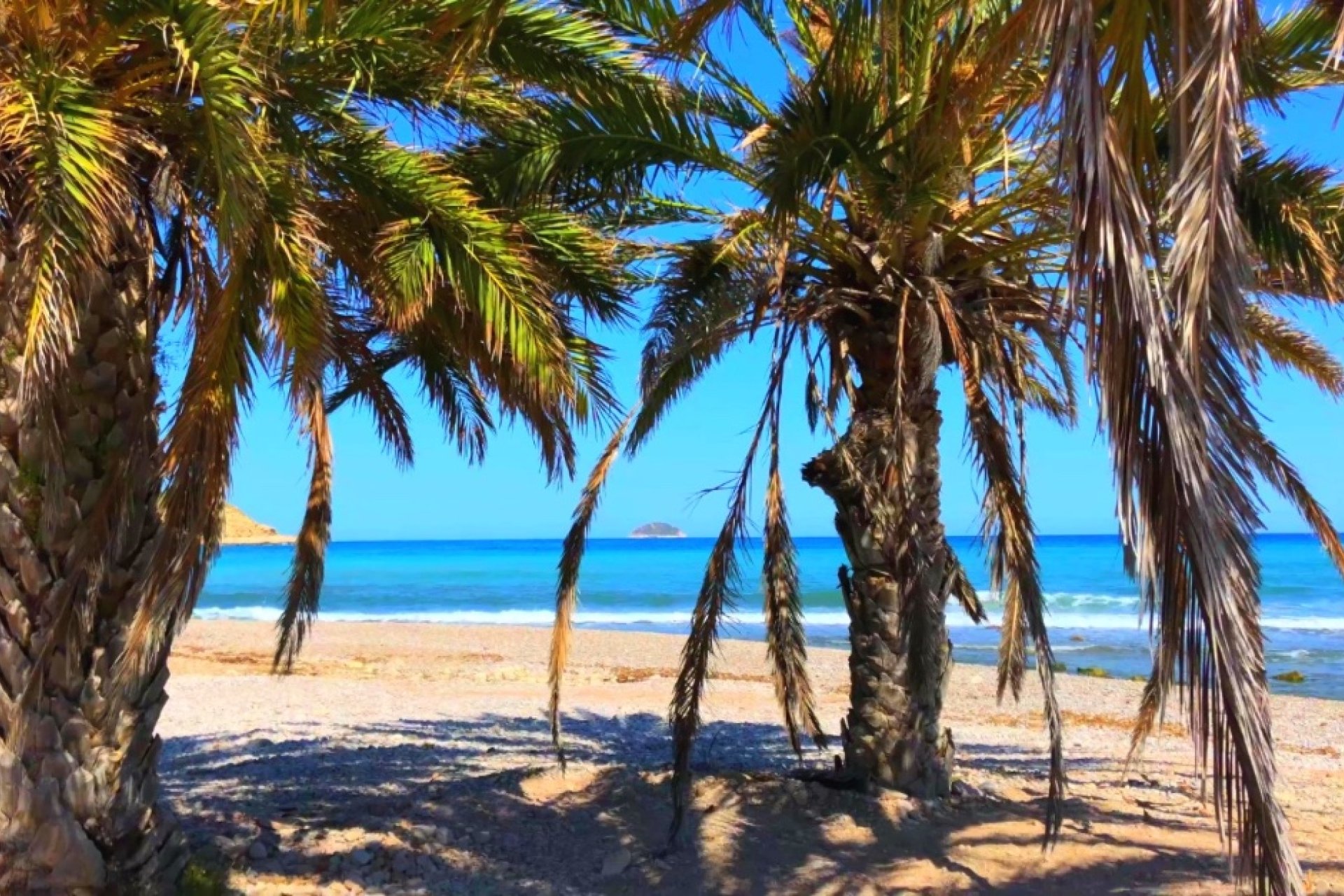 New Build - Apartment - Benidorm - Alicante