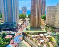 New Build - Apartment - Benidorm
