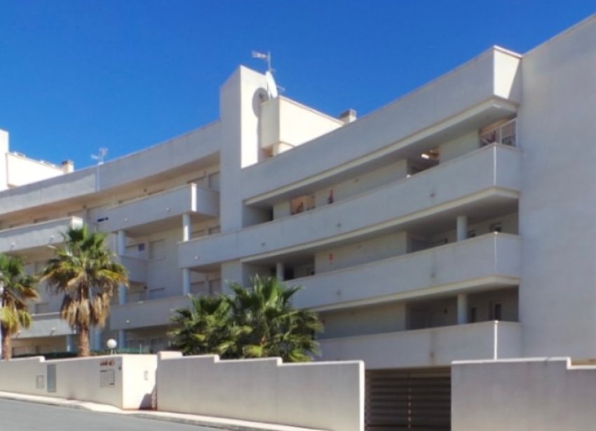 New Build - Apartment - Costa Blanca - Orihuela Costa