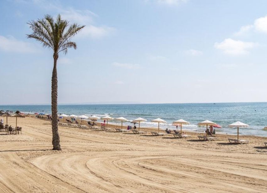 New Build - Apartment - Guardamar del Segura - Pueblo