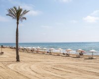 New Build - Apartment - Guardamar del Segura - Pueblo