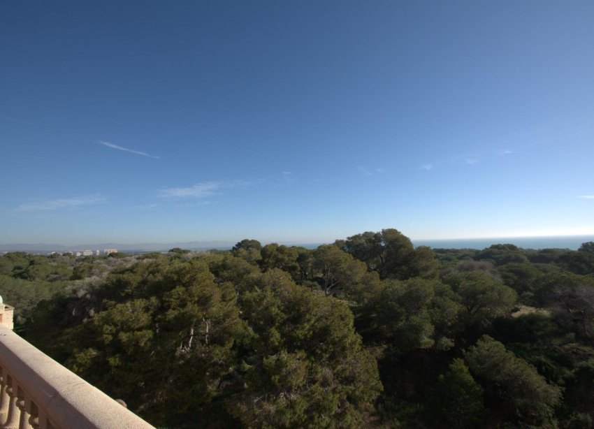 New Build - Apartment - Guardamar del Segura