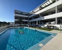 New Build - Apartment - Pilar de la Horadada