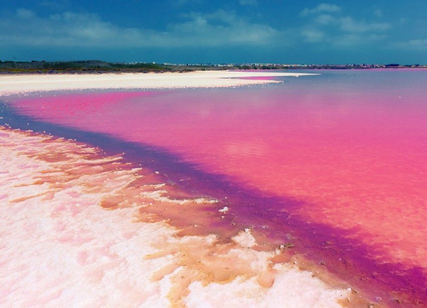 New Build - Apartment - Punta Prima - Rocio del Mar